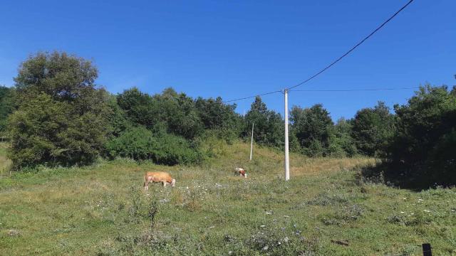 Plac, Prodaja, m2, Živica, Okolno mesto, Zivica