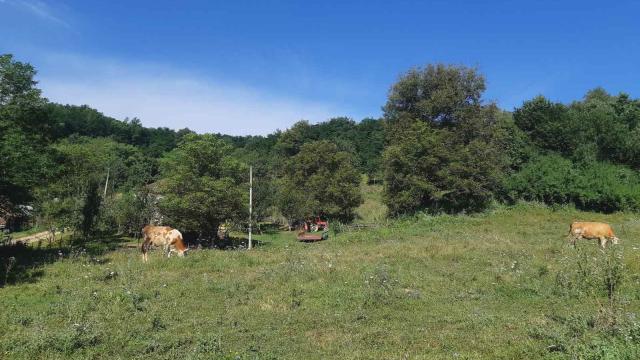 Plac, Prodaja, m2, Živica, Okolno mesto, Zivica