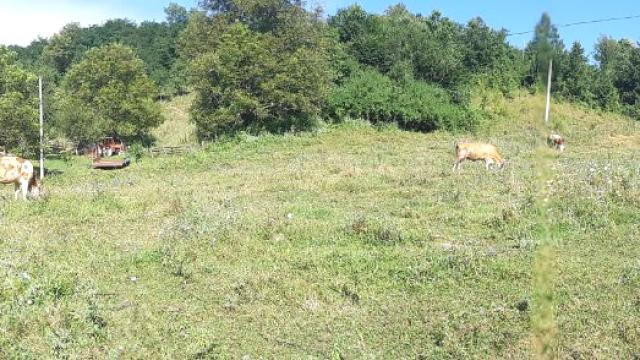 Plac, Prodaja, m2, Živica, Okolno mesto, Zivica