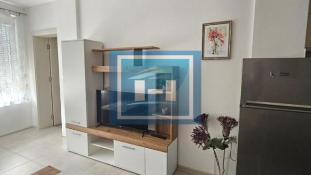 Stan, Dvosoban, Izdavanje, 37m2, Centar, Gradska lokacija, Paraćin