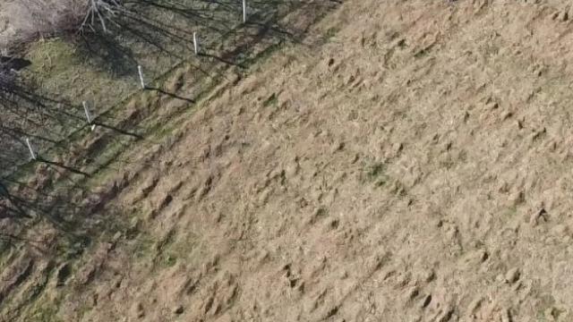 Plac, Prodaja, m2, Banja, Okolno mesto, Riznica kraj