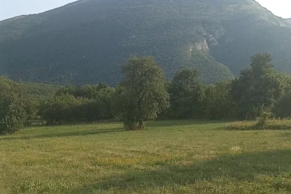 prodaja, plac,
mirovo-opstina-boljevac, 846756, mirovo