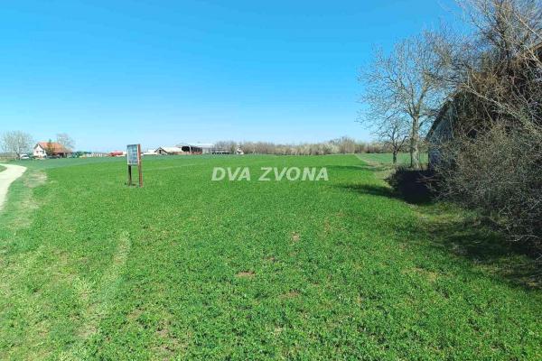 prodaja, plac,
siri-centar-grad-ada, 847172, plac