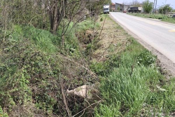 prodaja, plac,
surcin-mesto-surcin-beograd, 851699, bastovanska