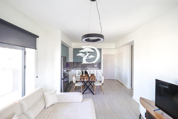 izdavanje, stanova,
beograd, 855381, dvoiposoban-bw-libera