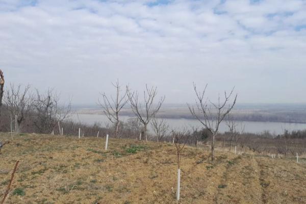 prodaja, plac,
plavinci-grocka-beograd, 855738, plavinci