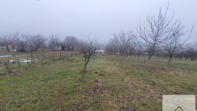 Plac, Prodaja, m2, Vrdnik, Okolno mesto, Irig