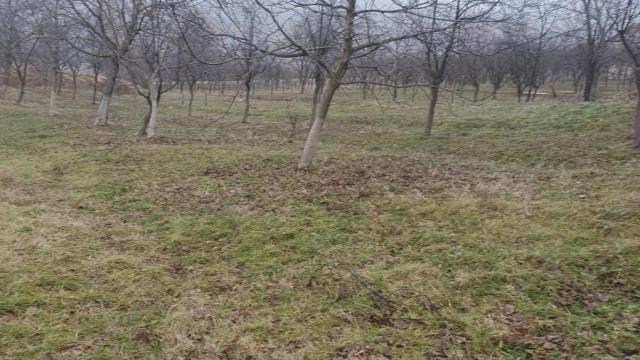 Plac, Prodaja, m2, Vrdnik, Okolno mesto, Irig