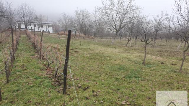 Plac, Prodaja, m2, Vrdnik, Okolno mesto, Irig