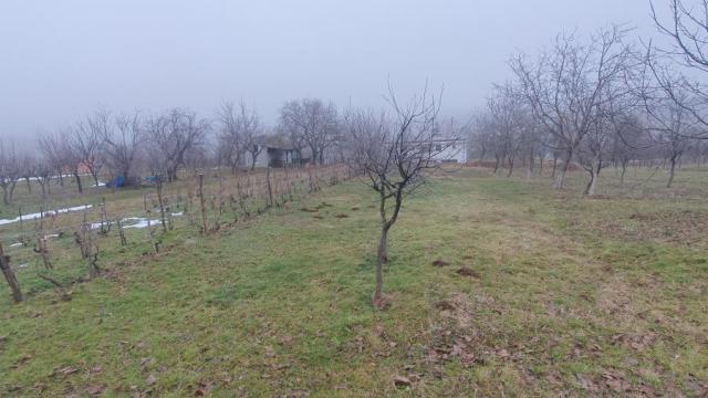 Plac, Prodaja, m2, Vrdnik, Okolno mesto, Irig