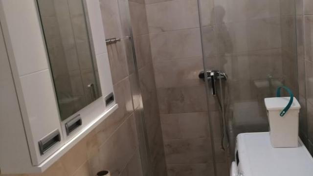 Stan, Dvosoban, Izdavanje, 30m2, Profesorska kolonija, Palilula, Cvijiceva