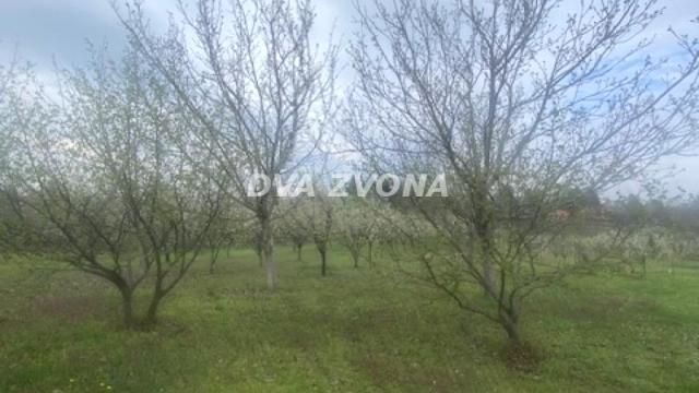 Kuća, Prodaja, 93m2, Čortanovci, Okolno mesto, Indjija