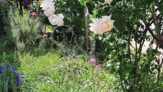 Kuća, Dvoiposoban, Prodaja, 96m2, Prnjavor, Okolno mesto, Trstenik