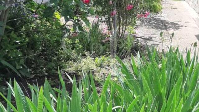Kuća, Dvoiposoban, Prodaja, 96m2, Prnjavor, Okolno mesto, Trstenik