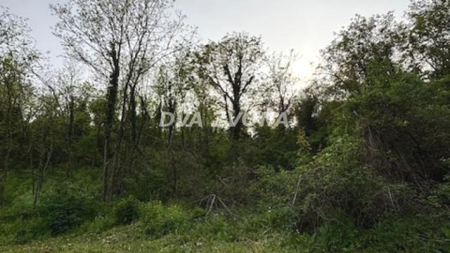 Plac, Prodaja, m2, Čortanovci, Okolno mesto, Indjija