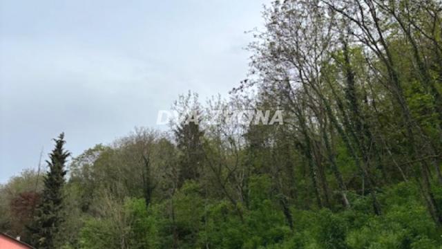 Plac, Prodaja, m2, Čortanovci, Okolno mesto, Indjija