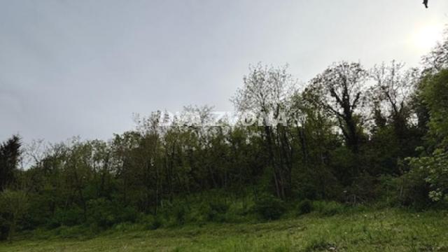 Plac, Prodaja, m2, Čortanovci, Okolno mesto, Indjija