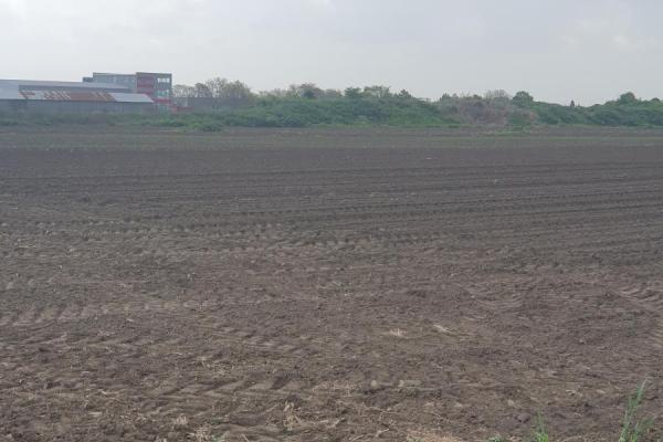 prodaja, plac,
ruma, 862310, plac