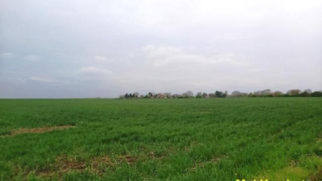 Plac, Prodaja, m2, Radiofar, Surčin, Vasilija Ostroškog