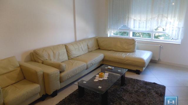 Stan, Dvosoban, Izdavanje, 50m2, Centar, Gradska lokacija, Paraćin