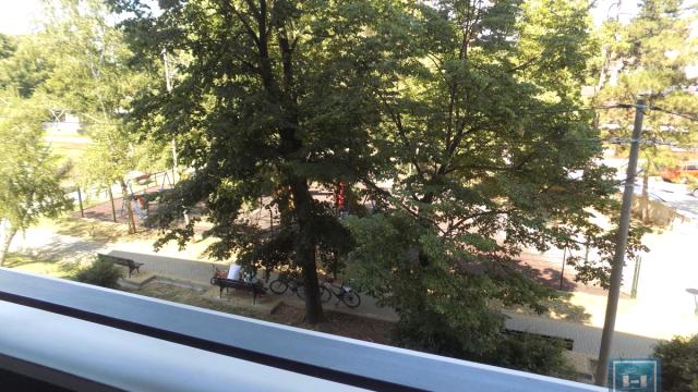 Stan, Dvosoban, Izdavanje, 50m2, Centar, Gradska lokacija, Paraćin
