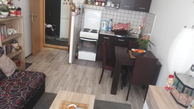 Stan, Jednoiposoban, Izdavanje, 40m2, Carnojeviceva 8