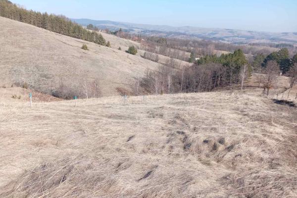 prodaja, plac,
divcibare-opstina-valjevo, 870598, tometino-polje