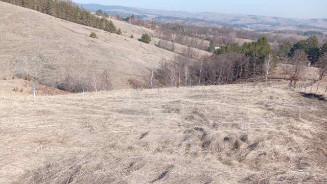 Plac, Prodaja, m2, Divčibare, Okolno mesto, Tometino polje