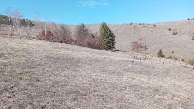 Plac, Prodaja, m2, Divčibare, Okolno mesto, Tometino polje