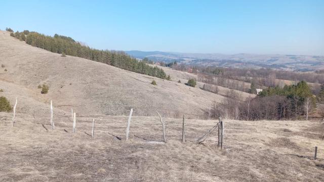Plac, Prodaja, m2, Divčibare, Okolno mesto, Tometino polje