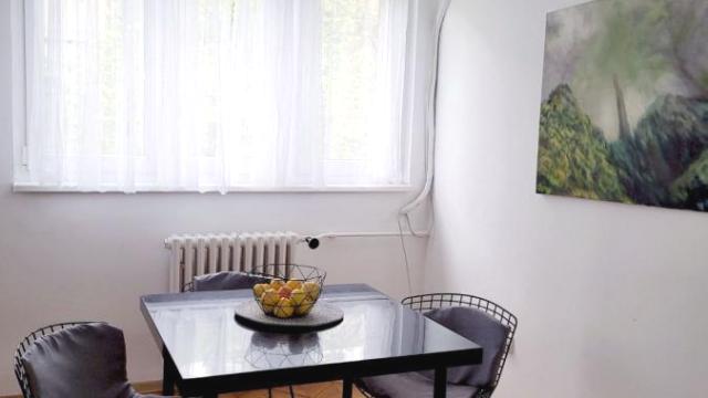 Stan, Dvoiposoban, Izdavanje, 55m2, Skupština, Stari grad, Majke Jevrosime