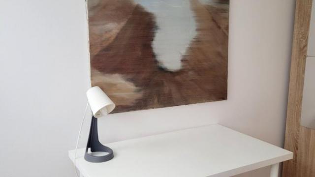 Stan, Dvoiposoban, Izdavanje, 55m2, Skupština, Stari grad, Majke Jevrosime