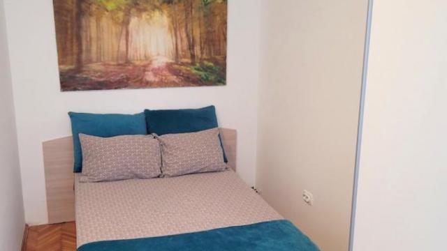 Stan, Dvoiposoban, Izdavanje, 55m2, Skupština, Stari grad, Majke Jevrosime