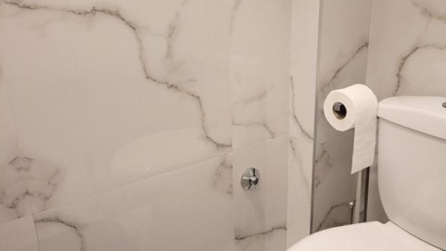 Stan, Dvoiposoban, Izdavanje, 55m2, Skupština, Stari grad, Majke Jevrosime