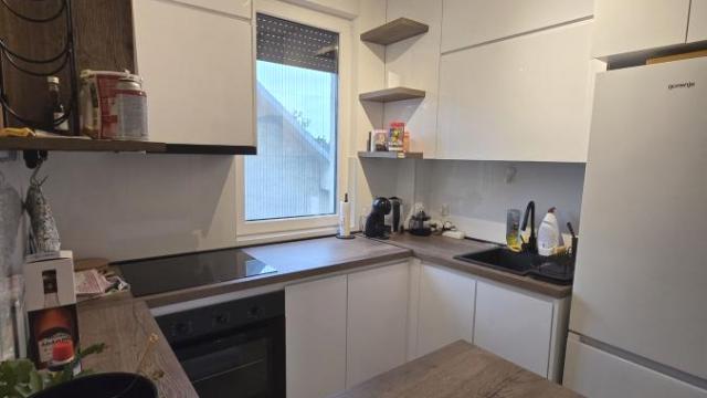 Stan, Dvosoban, Izdavanje, 46m2, Novi grad, Zemun, Ševina