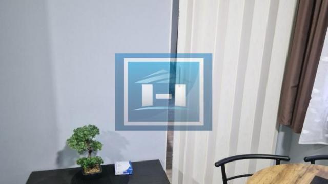 Stan, Jednosoban, Izdavanje, 30m2, XI Kongres, Gradska lokacija, Paraćin