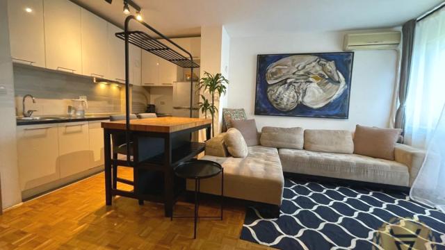 Stan, Dvosoban, Izdavanje, 44m2, Hotel Jugoslavija, Novi Beograd, Gramšijeva