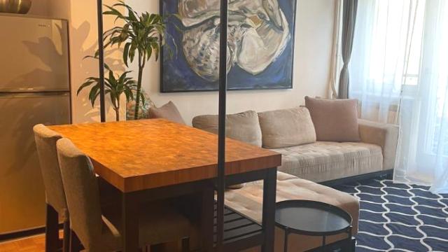 Stan, Dvosoban, Izdavanje, 44m2, Hotel Jugoslavija, Novi Beograd, Gramšijeva