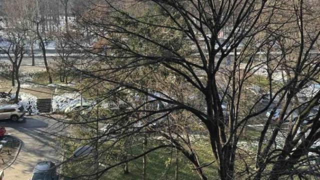 Stan, Trosoban, Izdavanje, 60m2, Dedinje, Savski venac, Stjepana Filipovića