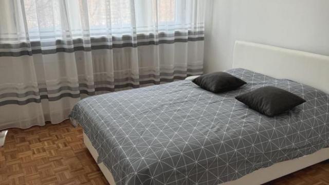 Stan, Trosoban, Izdavanje, 60m2, Dedinje, Savski venac, Stjepana Filipovića