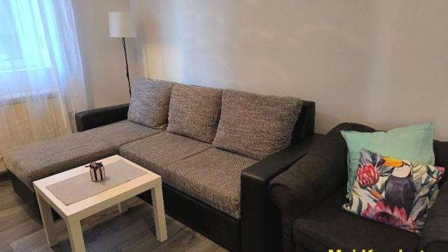 Stan, Jednoiposoban, Izdavanje, 40m2, Centar, Voždovac, Nikšićka