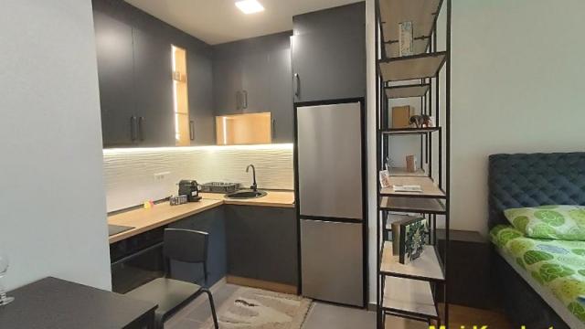 Stan, Jednosoban, Izdavanje, 40m2, Trošarina, Voždovac, Save Maškovića