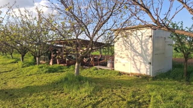 Plac, Prodaja, m2, Prema Nakovu