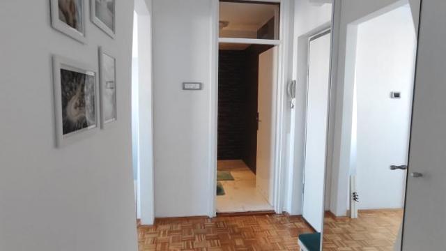 Stan, Dvosoban, Izdavanje, 41m2, Blok 63, Novi Beograd, Gandijeva