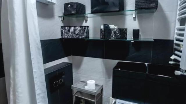 Stan, Dvosoban, Izdavanje, 51m2, Dorćol, Stari grad, Strahinjica Bana