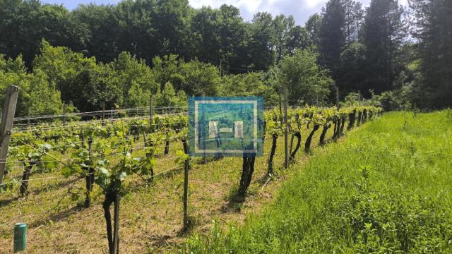 Kuća, Prodaja, 300m2, Senje, Okolno mesto, Ćuprija