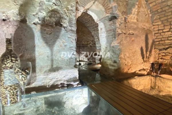 prodaja, poslovni-prostor,
stari-slankamen-opstina-indjija, 878817, poslovni-prostor