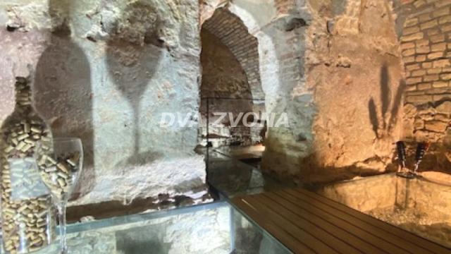 Poslovni prostor, Prodaja, 630m2, Stari Slankamen, Okolno mesto, Indjija