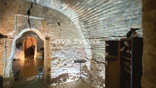 Poslovni prostor, Prodaja, 630m2, Stari Slankamen, Okolno mesto, Indjija