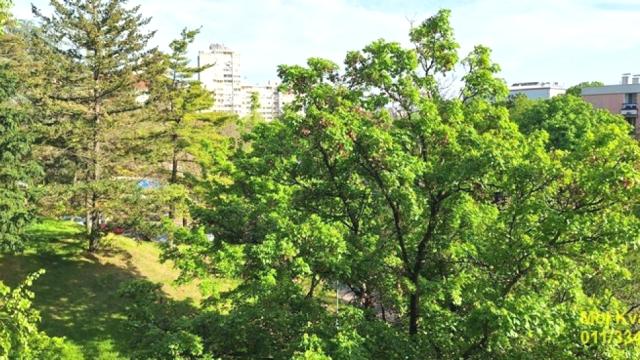 Stan, Dvosoban, Prodaja, 61m2, Braće Jerković, Voždovac, Dragice Končar
